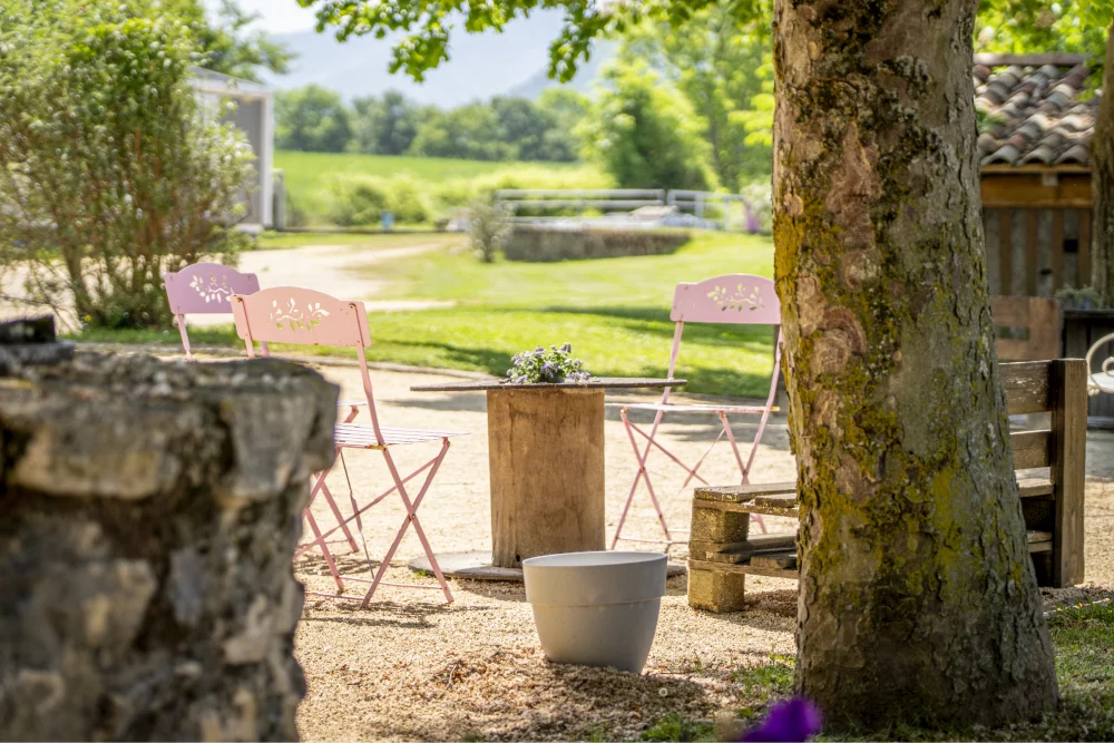 Domaine_Le_Grenouillet_7