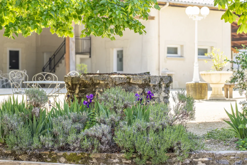 Domaine_Le_Grenouillet_20
